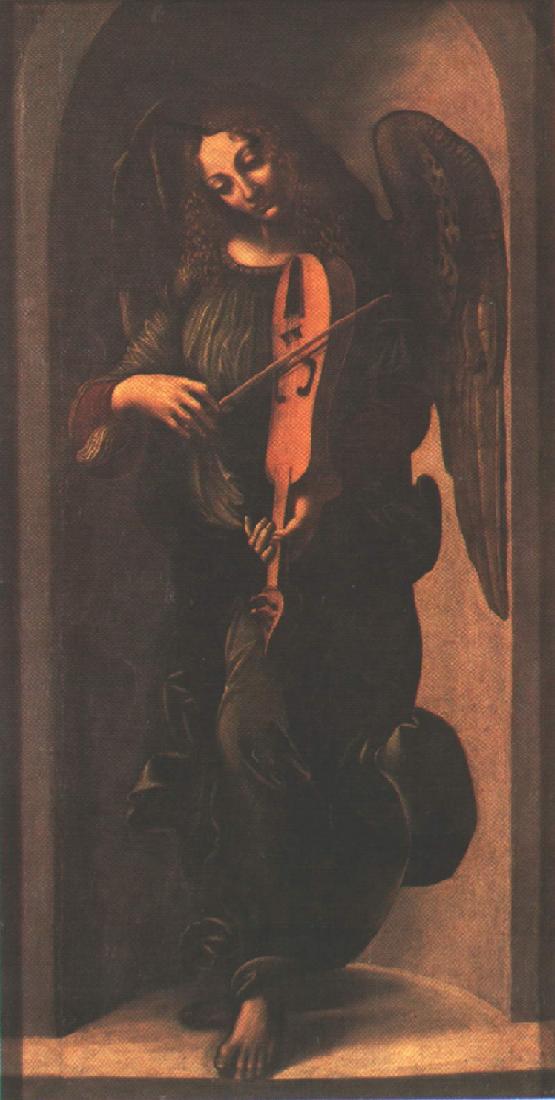 43