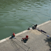 Roma - Trastevere 2003-2018