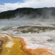 Yellowstone 2009